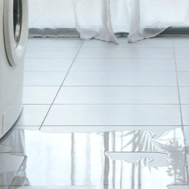 Appliance Leak Cleanup in Roanoke, AL