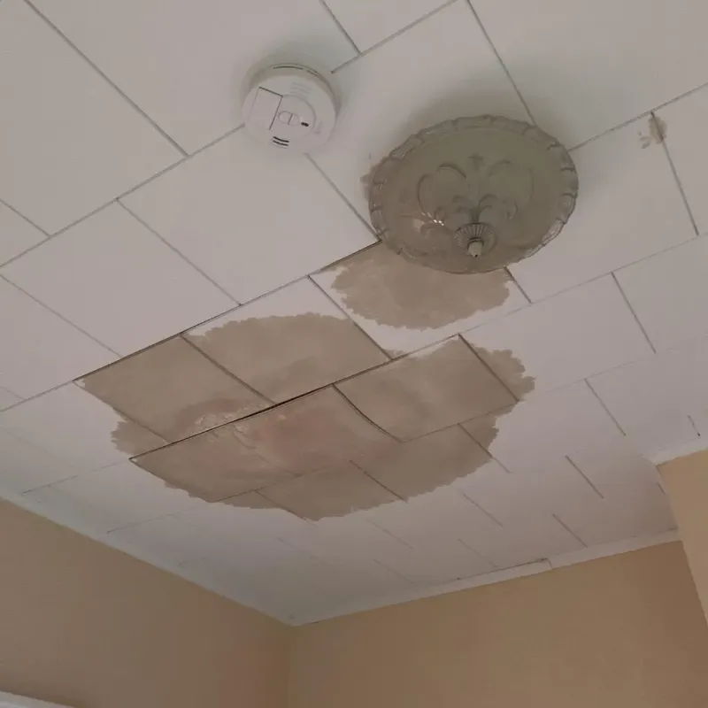 Ceiling Water Damage Repair in Roanoke, AL