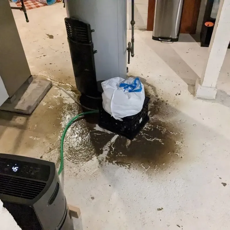 Sewage Backup Cleanup Service in Roanoke, AL